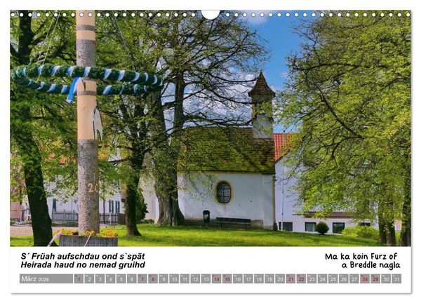 Produktbild: 03 Schw&auml;bische Sprichw&ouml;rter - D&ouml;s au no! (Wandkalender 2026 DIN A3 quer), CALVENDO Monatskalender
