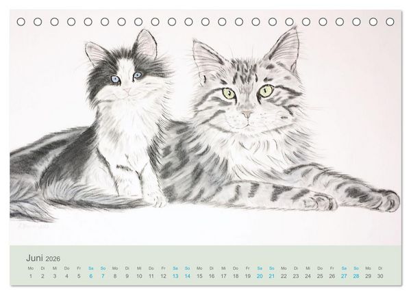 Produktbild: KATZEN PortraiTierART (Tischkalender 2026 DIN A5 quer), CALVENDO Monatskalender