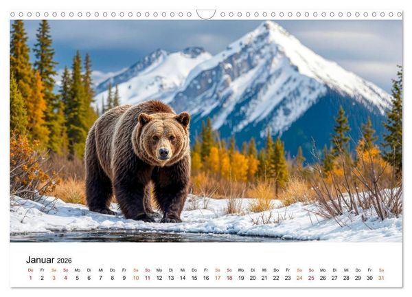 Produktbild: B&auml;ren - Die Macht der Natur (Wandkalender 2026 DIN A3 quer), CALVENDO Monatskalender