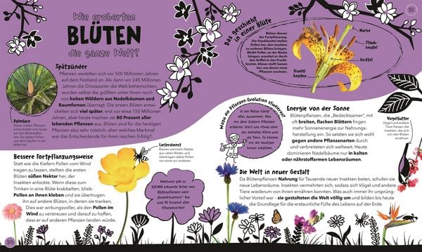 Produktbild: Ungel&ouml;ste R&auml;tsel der Wissenschaft