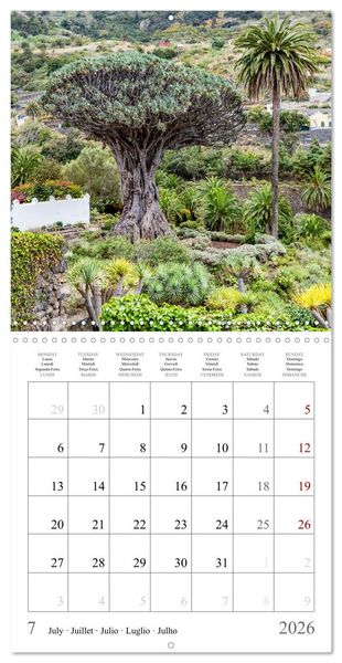 Produktbild: Canary Islands - Volcanic Beauties (Wall Calendar 2026 12 &times; 12 Inch) CALVENDO 12 Month Wall Calendar