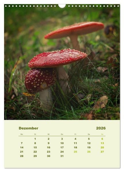 Produktbild: Wundersame Welt der Pilze (Wandkalender 2026 DIN A3 hoch), CALVENDO Monatskalender