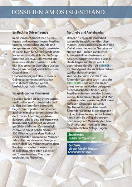 Produktbild: Fossilien am Ostseestrand