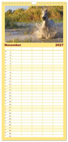 Produktbild: Familienplaner 2027 - Die wei&szlig;en Pferde der Camargue mit 5 Spalten (Wandkalender, 21 x 45 cm) CALVENDO