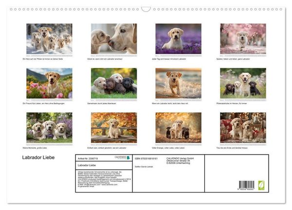 Produktbild: Labrador Liebe (Wandkalender 2027 DIN A2 quer), CALVENDO Monatskalender