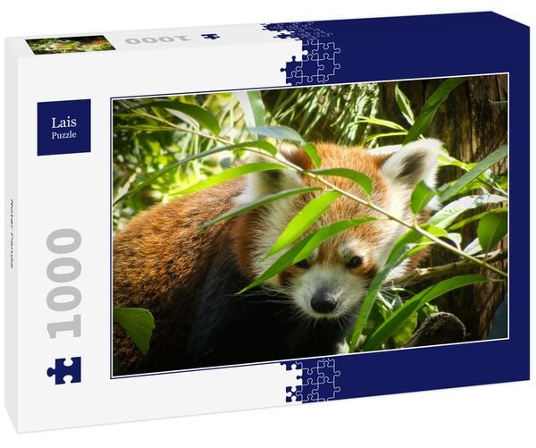 Lais Puzzle Roter Panda – 1000 Teile, Farbenfrohes Motiv, Hochwertig Gestanzt