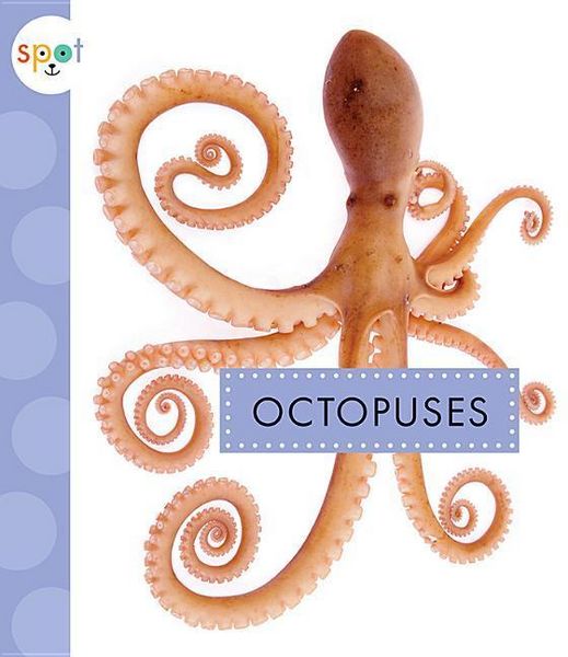 Produktbild: Octopuses