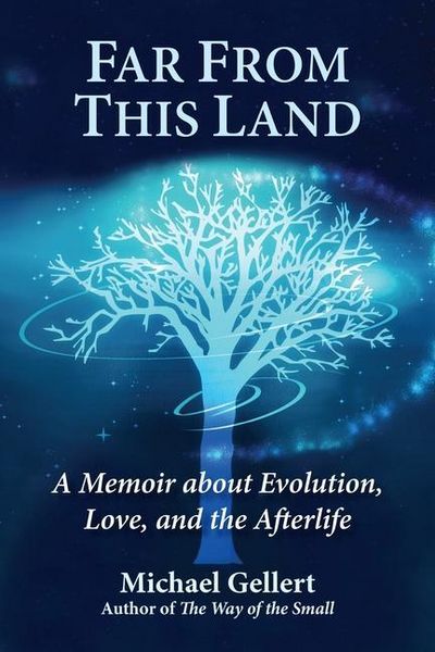 Produktbild: Far from This Land