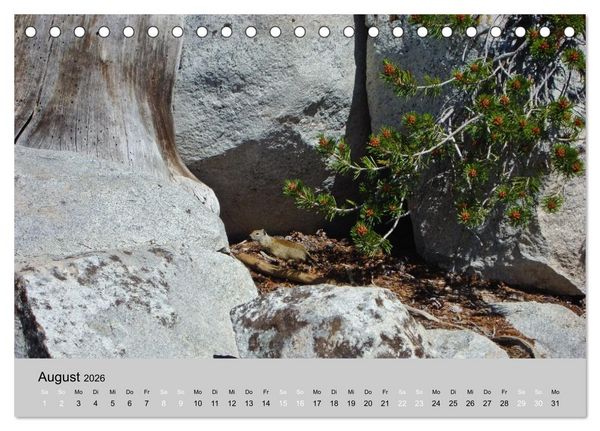 Produktbild: Yosemite, Entlang der Tioga Road (Tischkalender 2026 DIN A5 quer), CALVENDO Monatskalender