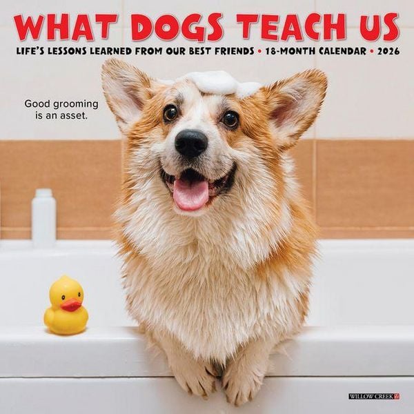 Produktbild: What Dogs Teach Us 2026 Mini Wall Calendar