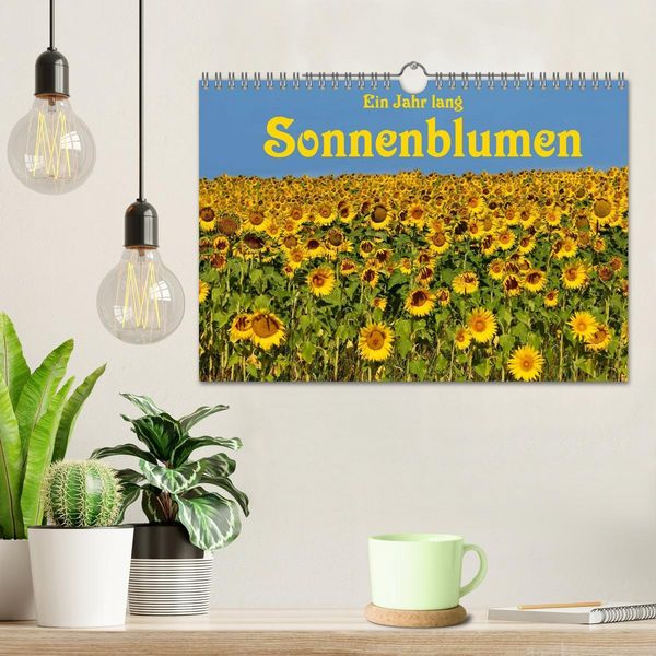 Produktbild: Ein Jahr lang Sonnenblumen (Wandkalender 2026 DIN A4 quer), CALVENDO Monatskalender