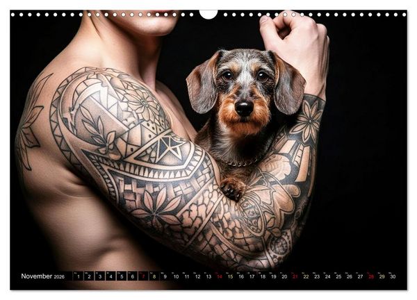 Produktbild: Coole Typen - Rauhaardackel (Wandkalender 2026 DIN A3 quer), CALVENDO Monatskalender