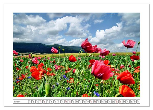 Produktbild: Nordhessen ist fotogen (Wandkalender 2026 DIN A4 quer), CALVENDO Monatskalender