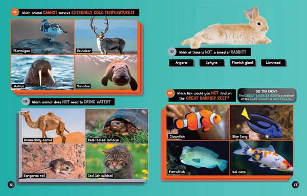 Produktbild: Ng Animals Odd One Out Pb