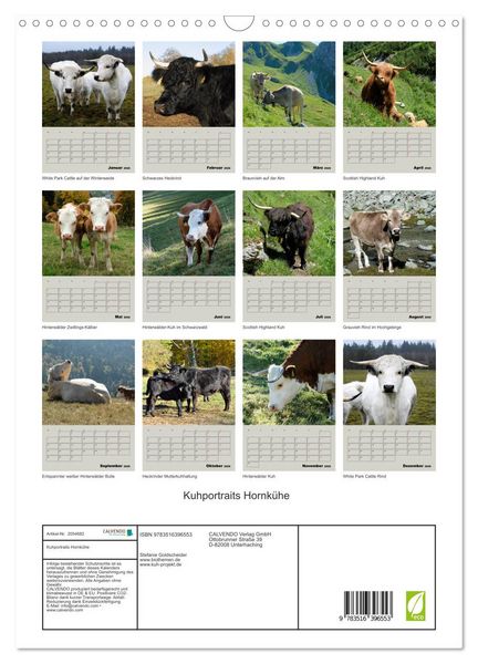 Produktbild: Kuhportraits Hornk&uuml;he (Wandkalender 2026 DIN A3 hoch), CALVENDO Monatskalender