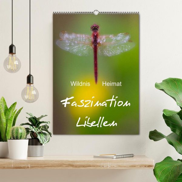 Produktbild: Faszination Libellen - Wildnis Heimat (Wandkalender 2026 DIN A2 hoch), CALVENDO Monatskalender