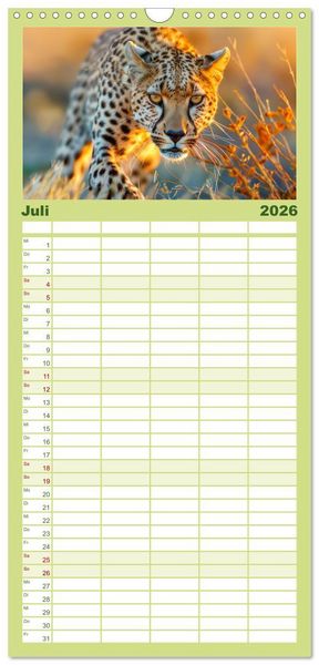Produktbild: Familienplaner 2026 - Afrika begeistert - Afrikas Sch&ouml;nheit mit 5 Spalten (Wandkalender, 21 x 45 cm) CALVENDO