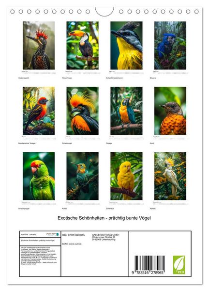Produktbild: Exotische Sch&ouml;nheiten - pr&auml;chtig bunte V&ouml;gel (Wandkalender 2026 DIN A4 hoch), CALVENDO Monatskalender