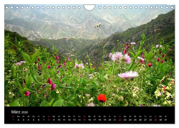 Produktbild: La Gomera (Wandkalender 2026 DIN A4 quer), CALVENDO Monatskalender