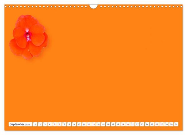 Produktbild: DIY POESIE - BASTELKALENDER (Wandkalender 2026 DIN A3 quer), CALVENDO Monatskalender
