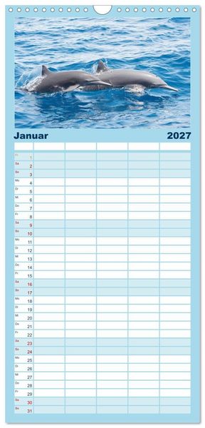Produktbild: Familienplaner 2027 - Delfine: Elegante Wellenreiter mit 5 Spalten (Wandkalender, 21 x 45 cm) CALVENDO