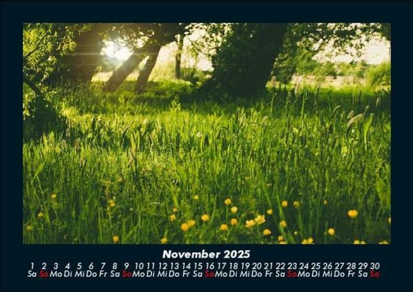 Produktbild: Pflanzen und Bl&uuml;ten 2025 Fotokalender DIN A5