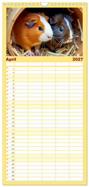 Produktbild: Familienplaner 2027 - S&uuml;&szlig;e Meerschweinchen mit 5 Spalten (Wandkalender, 21 x 45 cm) CALVENDO