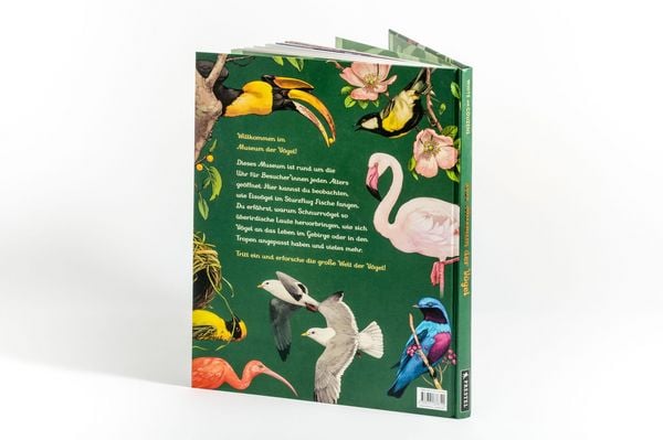 Produktbild: Das Museum der V&ouml;gel