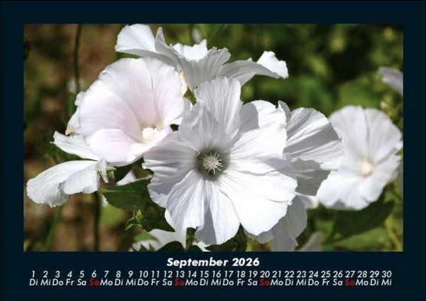 Produktbild: Blumenkalender 2026 Fotokalender DIN A5