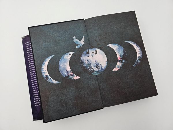 Produktbild: Gothikana &ndash; Eine Liebe, die alle Regeln bricht