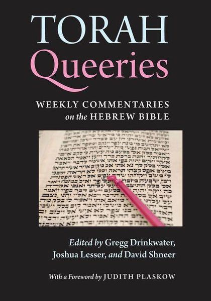 Produktbild: Torah Queeries