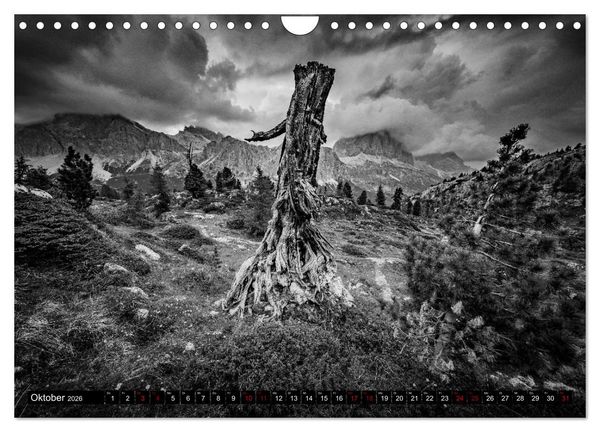 Produktbild: Dramatik in SW (Wandkalender 2026 DIN A4 quer), CALVENDO Monatskalender