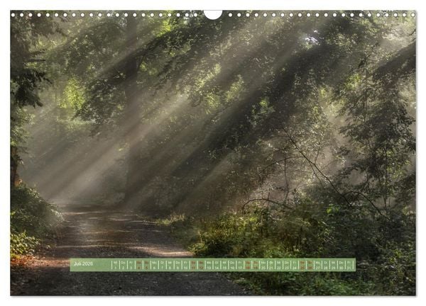 Produktbild: Zauber des Lichts (Wandkalender 2026 DIN A3 quer), CALVENDO Monatskalender