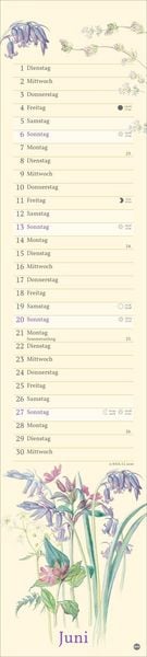 Produktbild: Edith Holden: Mit der Natur durchs Jahr Kalender 2027