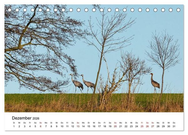 Produktbild: Kraniche im Erzgebirge (Tischkalender 2026 DIN A5 quer), CALVENDO Monatskalender