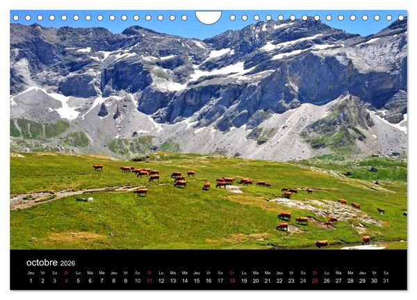 Produktbild: Couleurs Pyr&eacute;n&eacute;es (Calendrier mural 2026 DIN A4 vertical), CALVENDO calendrier mensuel