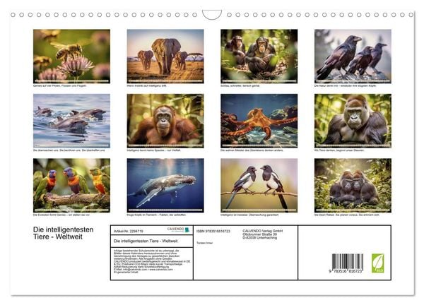 Produktbild: Die intelligentesten Tiere - Weltweit (Wandkalender 2027 DIN A3 quer), CALVENDO Monatskalender