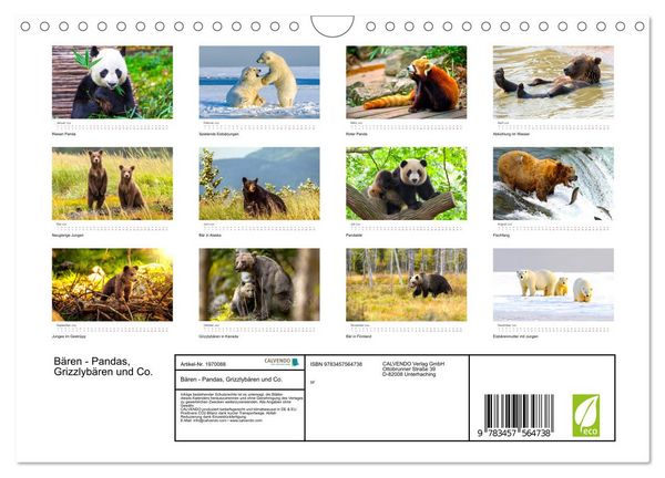 Produktbild: B&auml;ren - Pandas, Grizzlyb&auml;ren und Co. (Wandkalender 2026 DIN A4 quer), CALVENDO Monatskalender