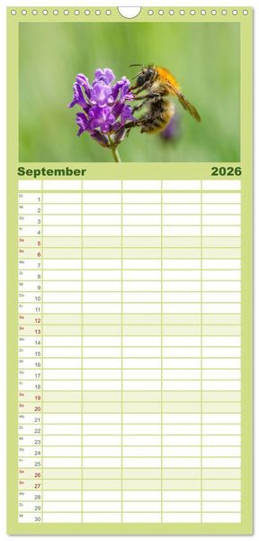 Produktbild: Familienplaner 2026 - Hummeln und Bienen mit 5 Spalten (Wandkalender, 21 x 45 cm) CALVENDO