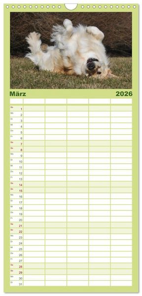 Produktbild: Familienplaner 2026 - Golden Retriever - Ein Herz auf 4 Pfoten mit 5 Spalten (Wandkalender, 21 x 45 cm) CALVENDO
