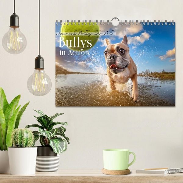 Produktbild: Bullys in Action - Franz&ouml;sische Bulldoggen lieben B&auml;lle (Wandkalender 2026 DIN A4 quer), CALVENDO Monatskalender