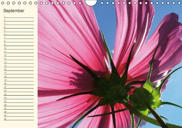 Produktbild: Geburtstagskalender "Nette Kleinigkeiten" (Wandkalender immerw&auml;hrend DIN A4 quer)