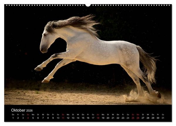 Produktbild: Spaniens stolze Pferde (hochwertiger Premium Wandkalender 2026 DIN A2 quer), Kunstdruck in Hochglanz