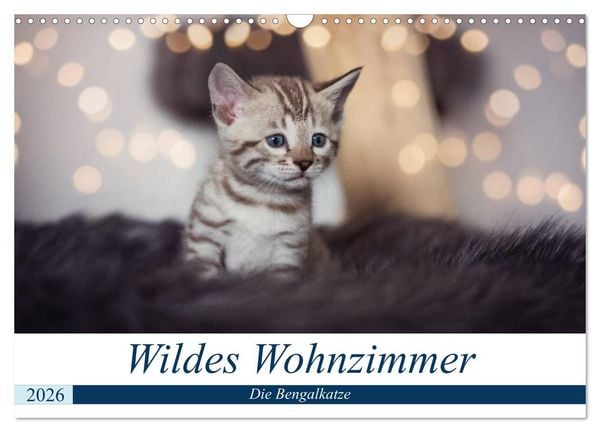 Produktbild: Wildes Wohnzimmer - Die Bengalkatze (Wandkalender 2026 DIN A3 quer), CALVENDO Monatskalender