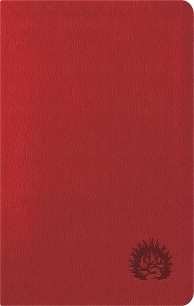 Produktbild: ESV Reformation Study Bible, Condensed Edition - Red, Leather-Like