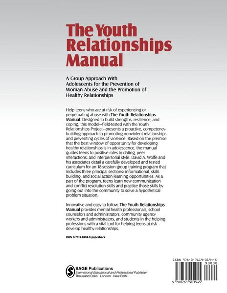 Produktbild: The Youth Relationships Manual