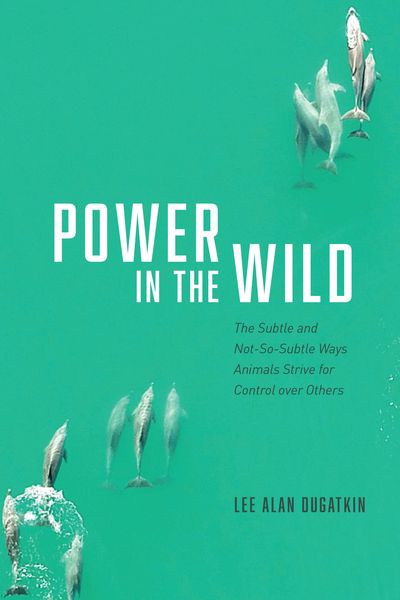 Produktbild: Power in the Wild