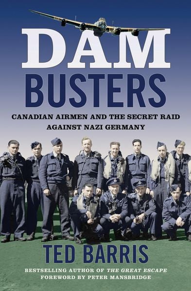 Produktbild: Dam Busters
