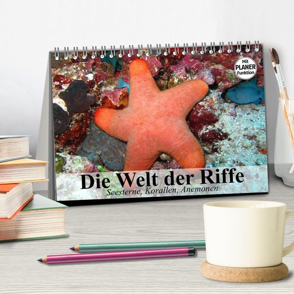 Produktbild: Die Welt der Riffe. Seesterne, Korallen, Anemonen (Tischkalender 2026 DIN A5 quer), CALVENDO Monatskalender