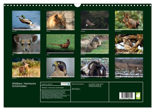 Produktbild: Wildtiere. Heimische Sch&ouml;nheiten (Wandkalender 2026 DIN A3 quer), CALVENDO Monatskalender